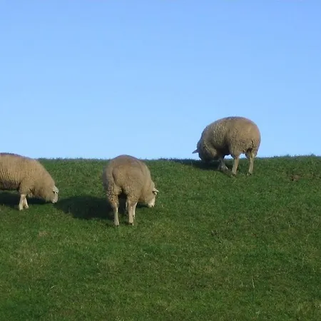 One-bedroom Holiday home *