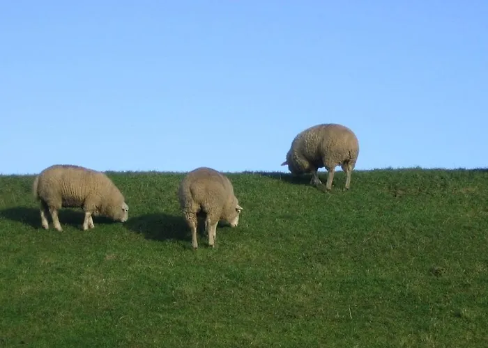 One-bedroom בית נופש *